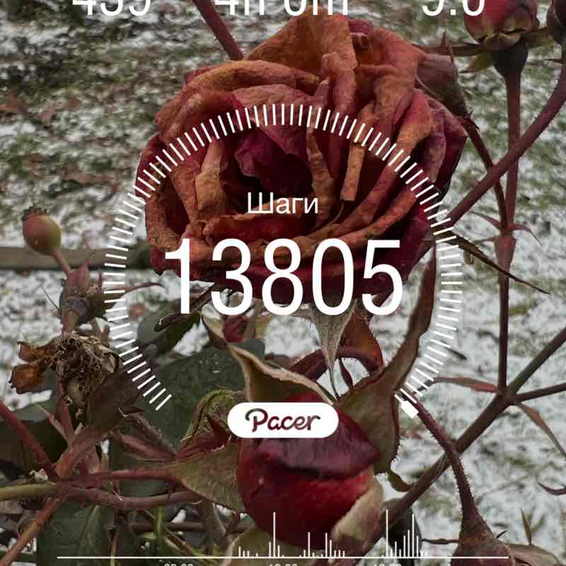 Дана 🇷🇺🇱🇹🇬🇧🌞🌞🌞 post 2