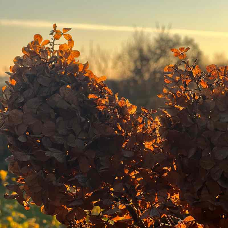 Дана 🇷🇺🇱🇹🇬🇧🌞🌞🌞 post 3