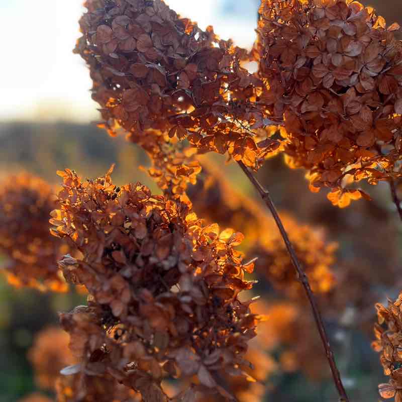 Дана 🇷🇺🇱🇹🇬🇧🌞🌞🌞 post 1