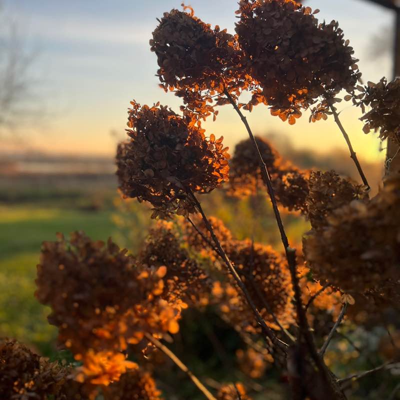 Дана 🇷🇺🇱🇹🇬🇧🌞🌞🌞 post 2