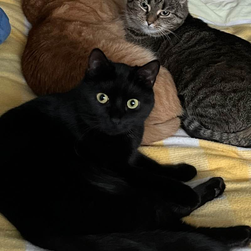 Дана 🇷🇺🇱🇹🇬🇧🌞🌞🌞 post 3