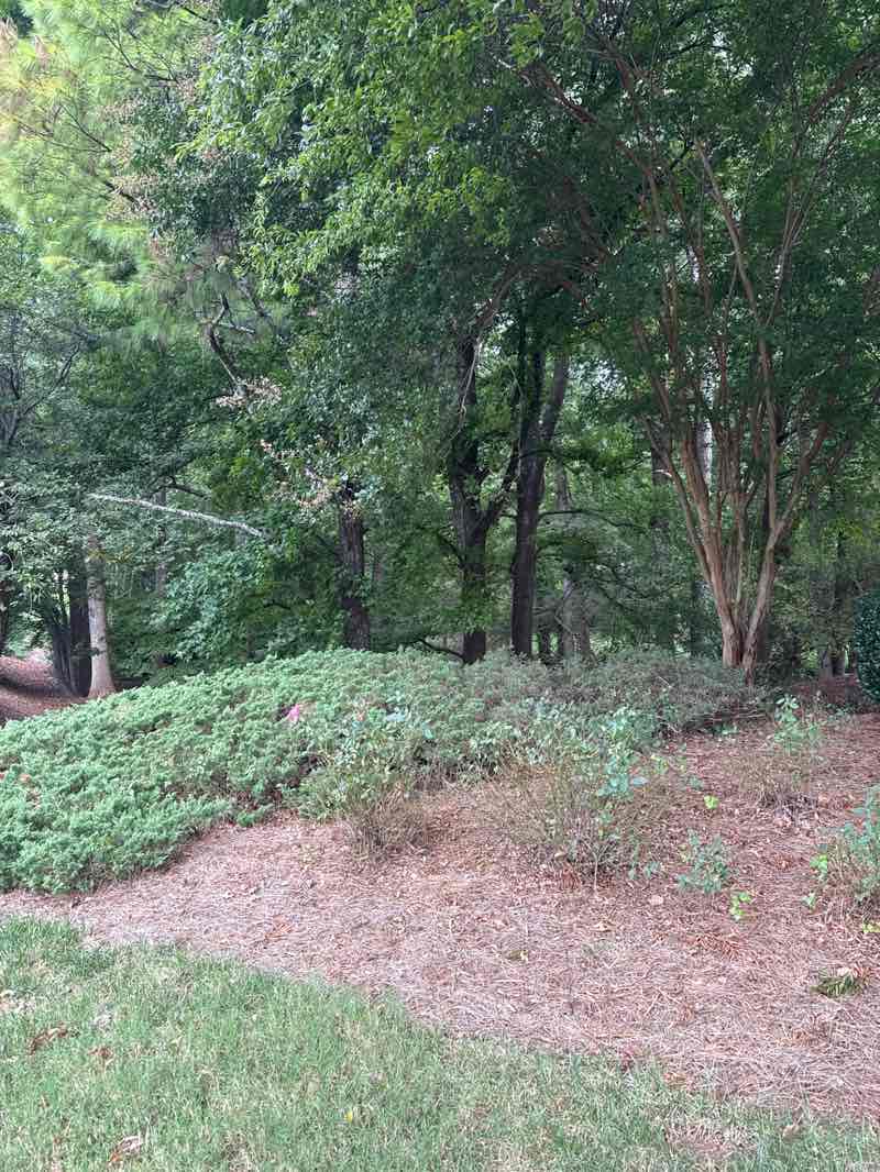 walking near me in North Meadow Park in autumn