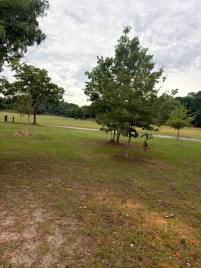 walking near me in Piedmont Park in spring
