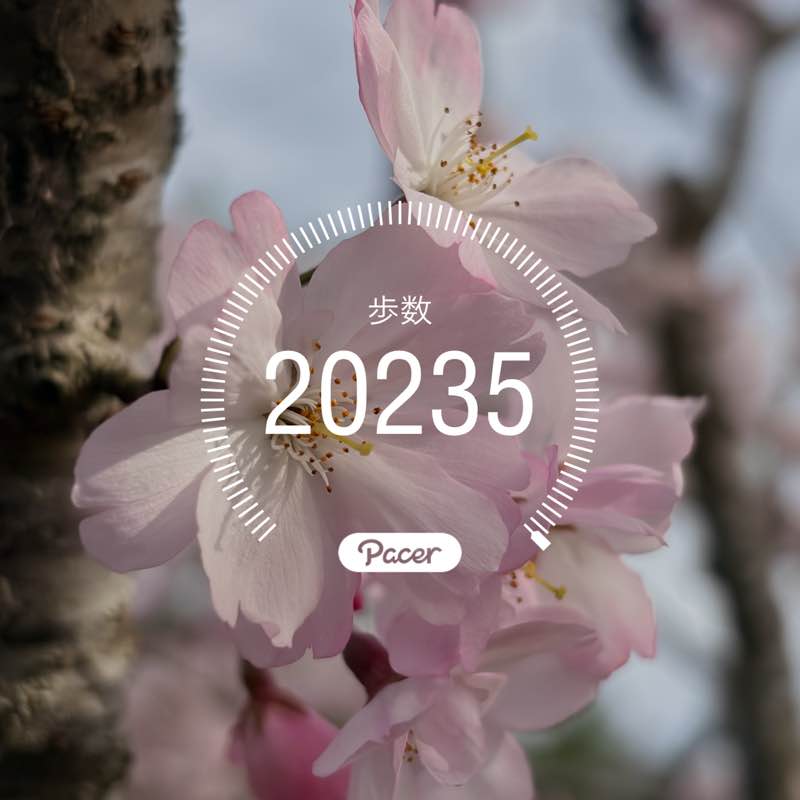 金太郎1979 post 1