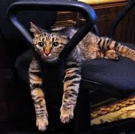 ☠Саныч77🐯☠️🏴‍☠️🏴‍☠️ post 1