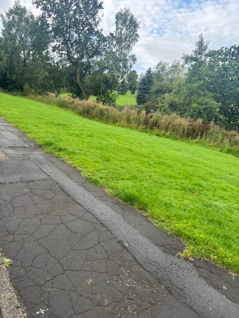 walking near me in Broom Park in summer