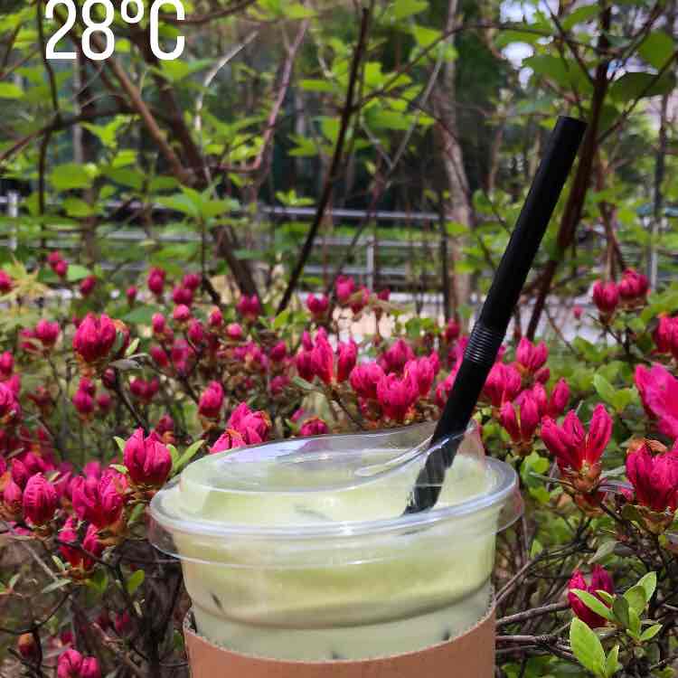 PacerЛейди_1986 post 2