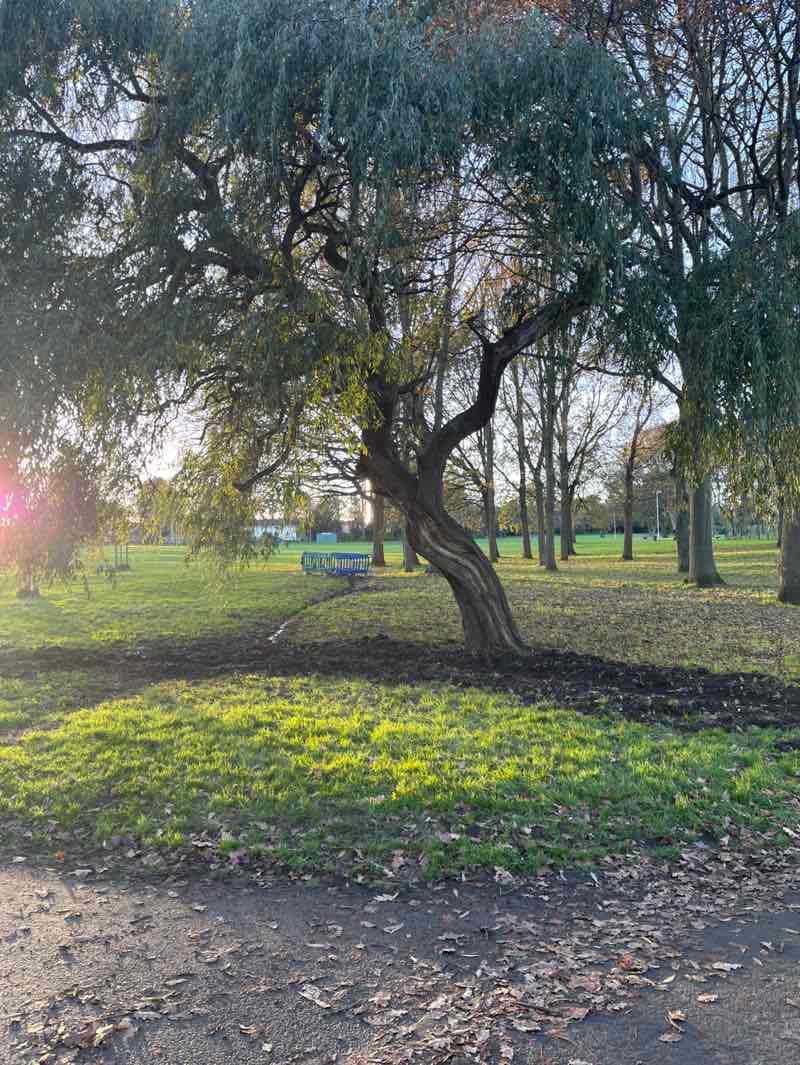 walking near me in Victoria Park in autumn