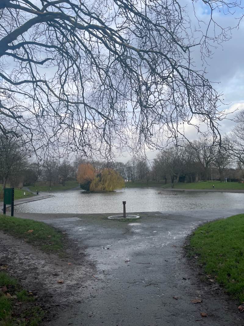 walking near me in Central Park in winter