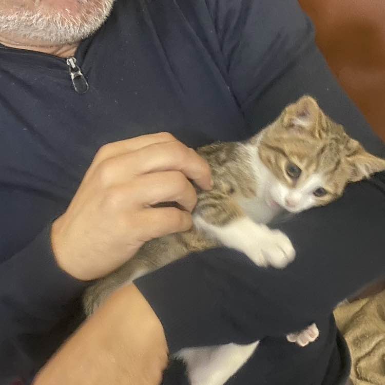 November Group Challenge Giulio68 post image