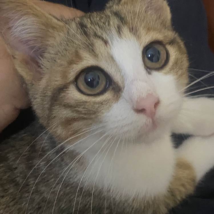 November Group Challenge Giulio68 post image