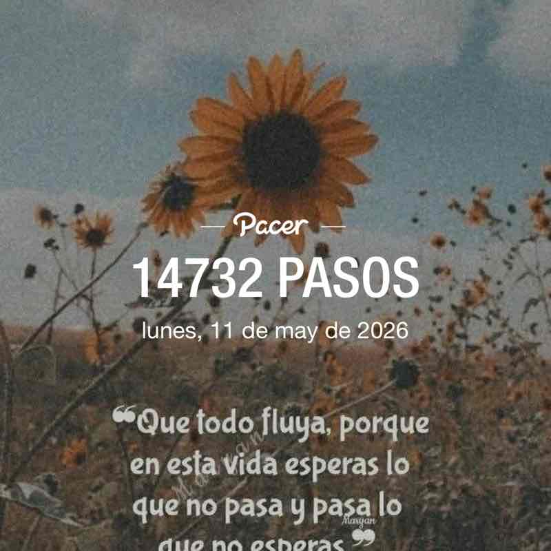 pechocha64 post 1