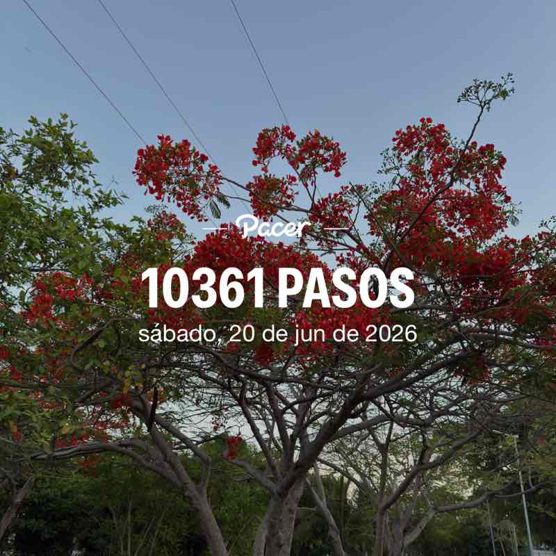 pechocha64 post 1