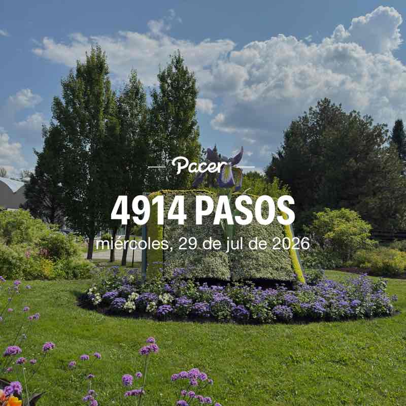 pechocha64 post 1