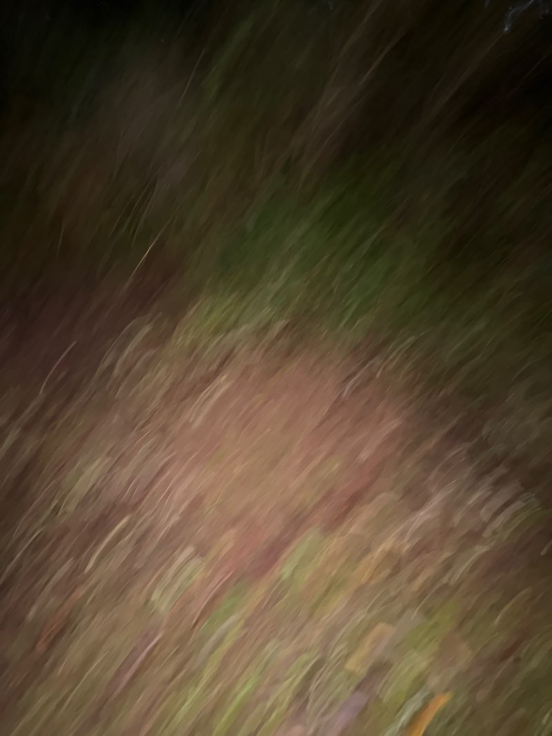 walking near me in Winsor Park in winter