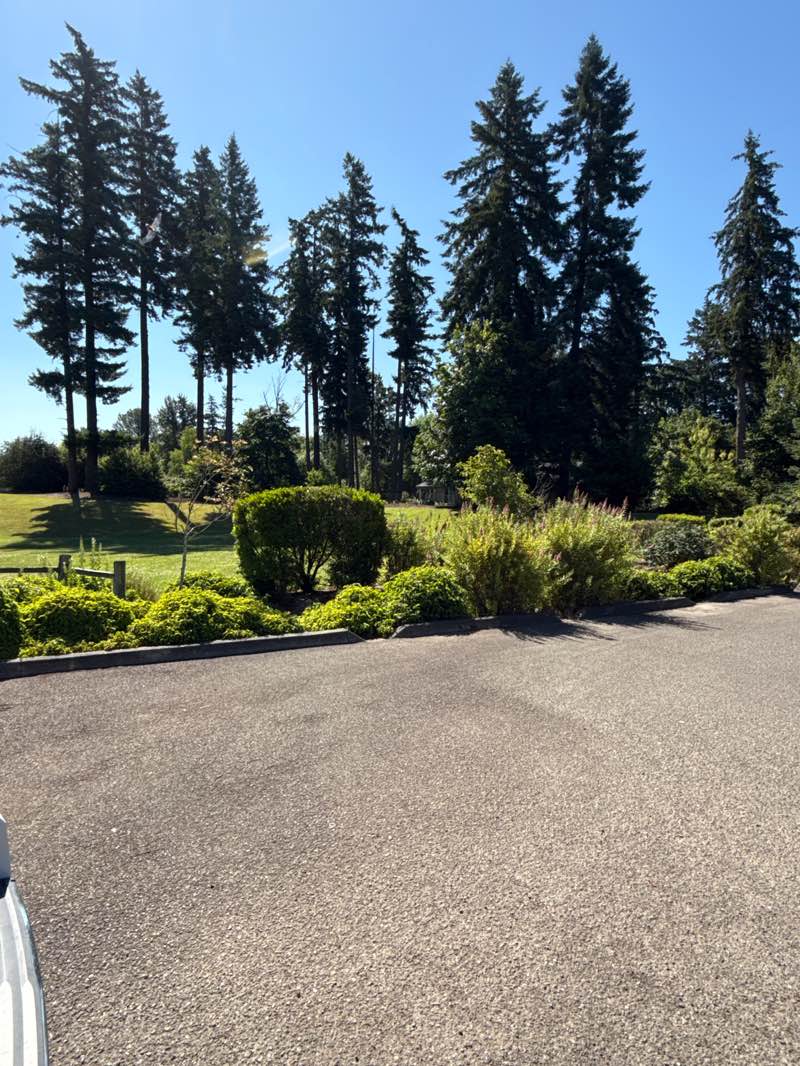 walking near me in Village Green Park in summer