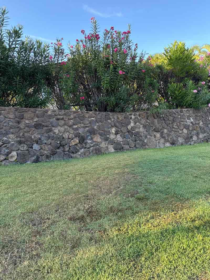 walking near me in Keawakapu I Beach Park in autumn