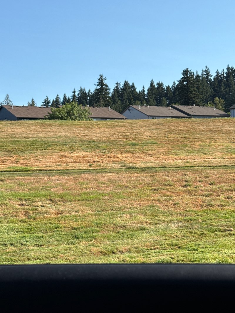 walking near me in Windswept Waters Park in summer