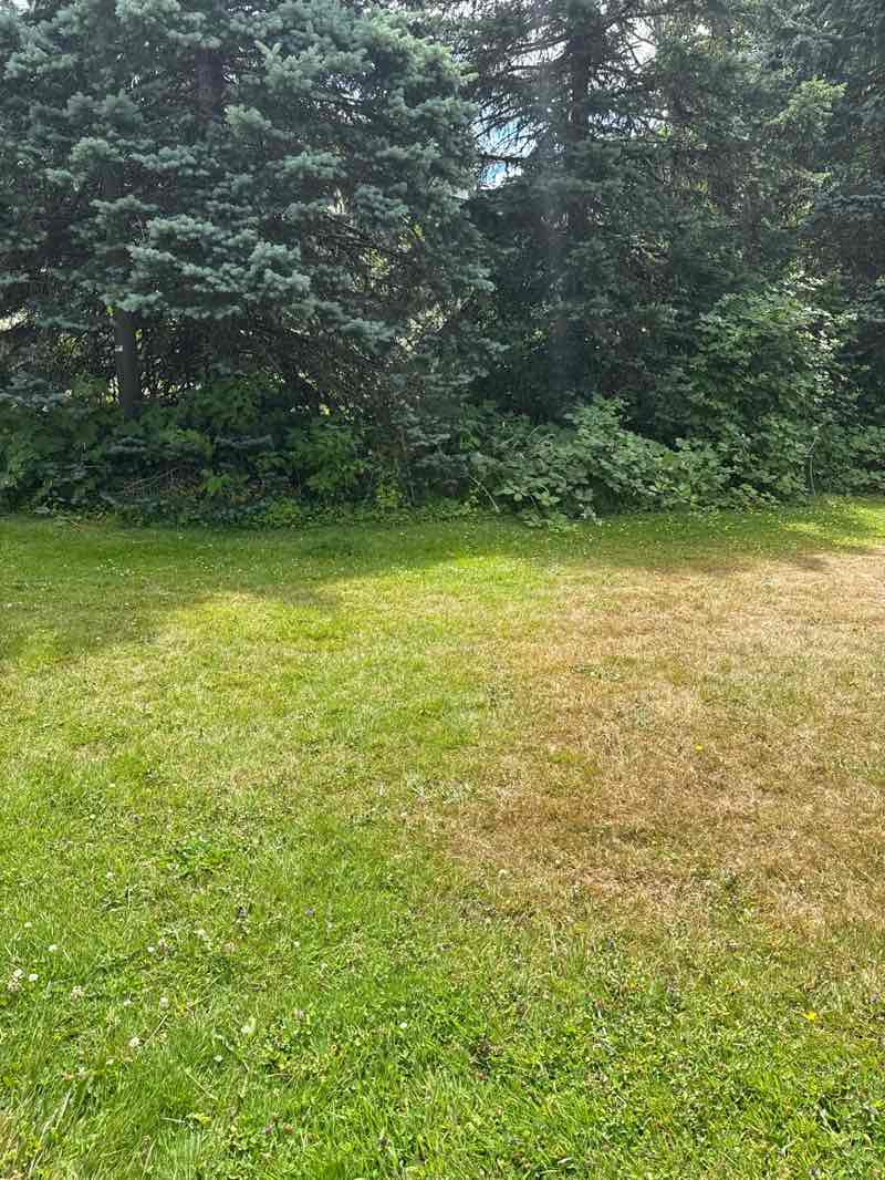 walking near me in Tupper Park in summer