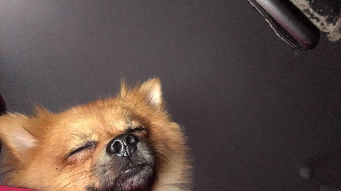 la la 👣🐾 profile