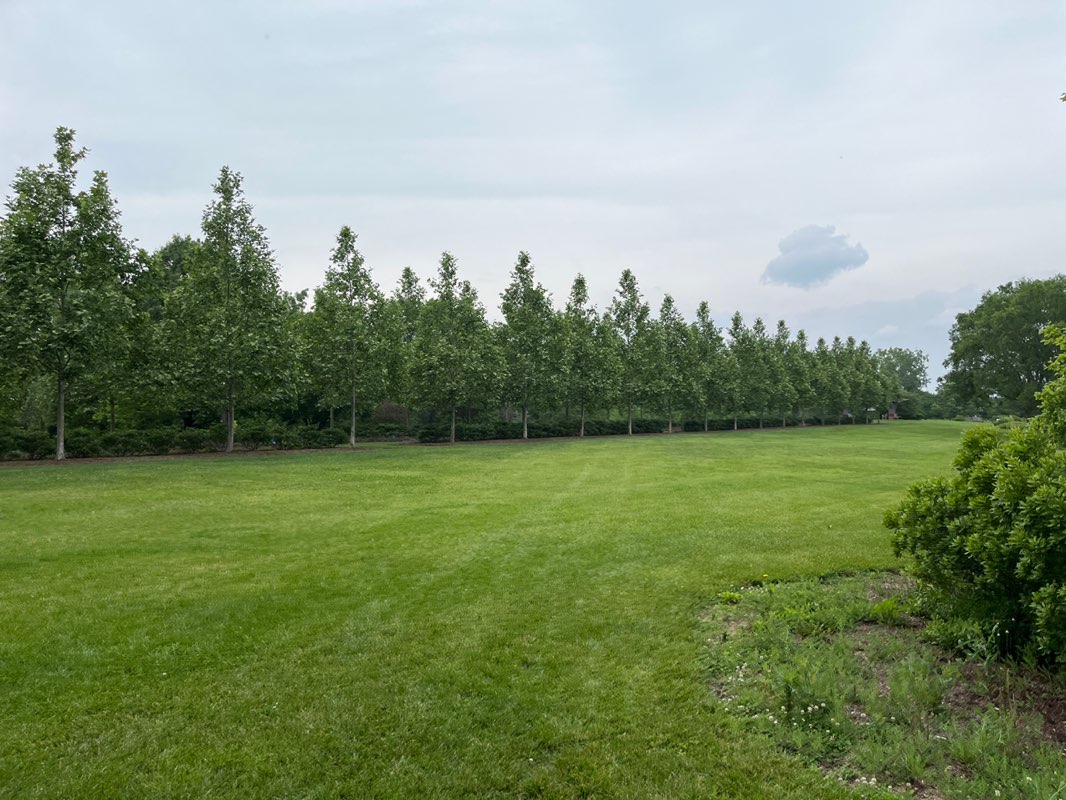 walking near me in Cox Arboretum MetroPark in summer