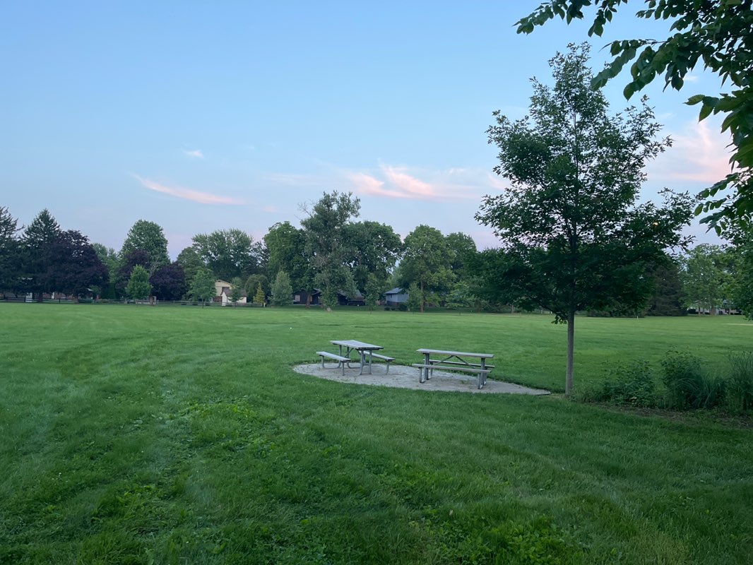 walking near me in Manor Park in summer