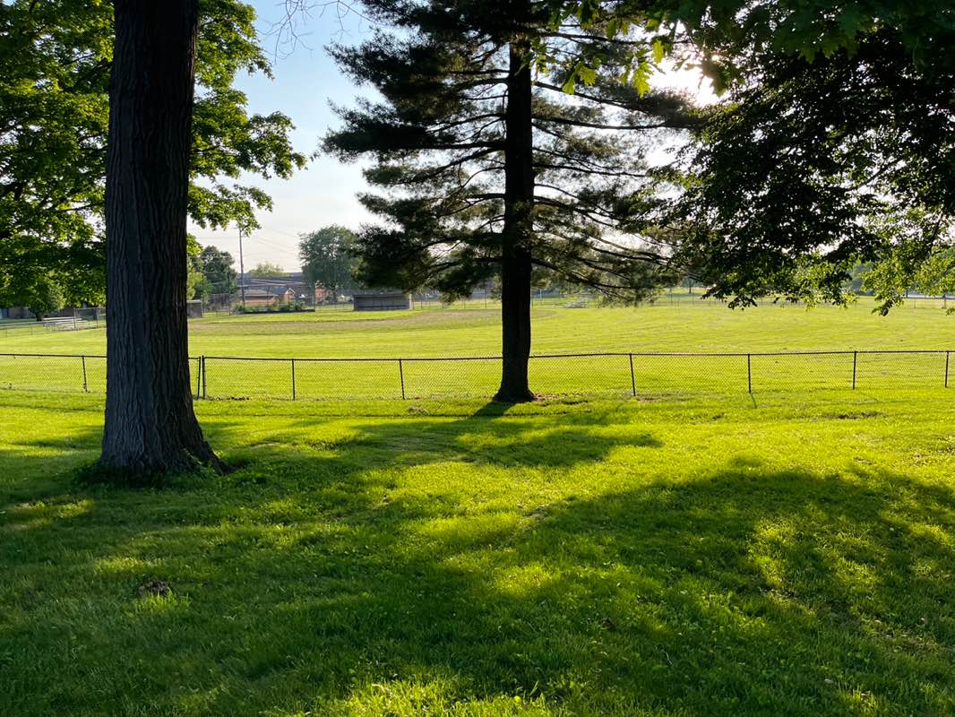 walking near me in Ireland Park in summer