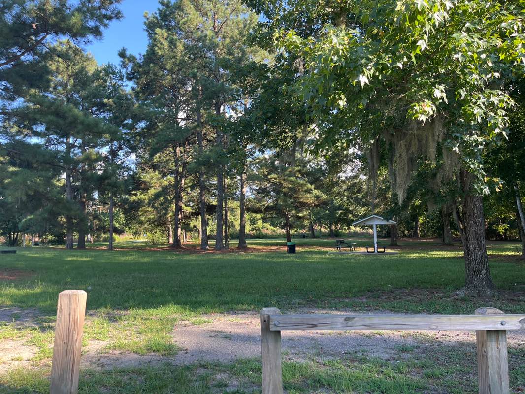 walking near me in Butler Creek Park in autumn