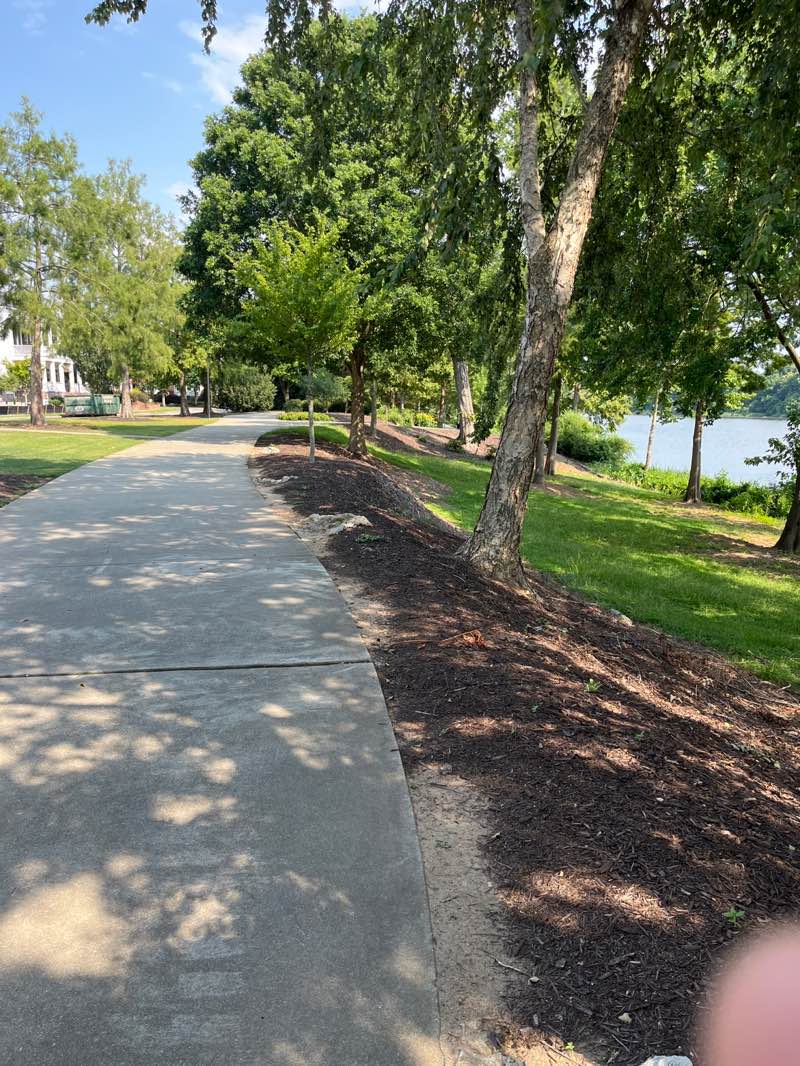 walking near me in Boeckh Park in summer