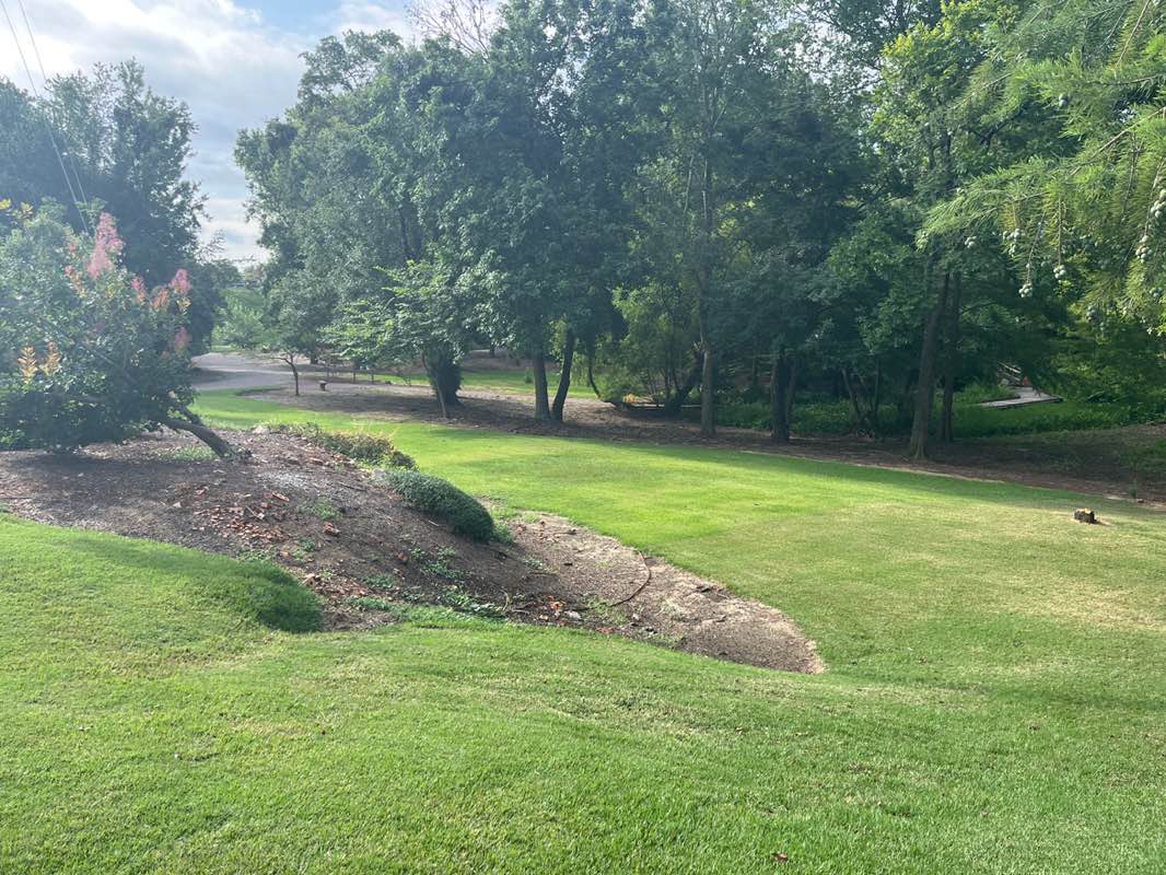 walking near me in Brick Pond Park in summer
