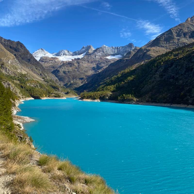 🌟Roberta🌟 post 2