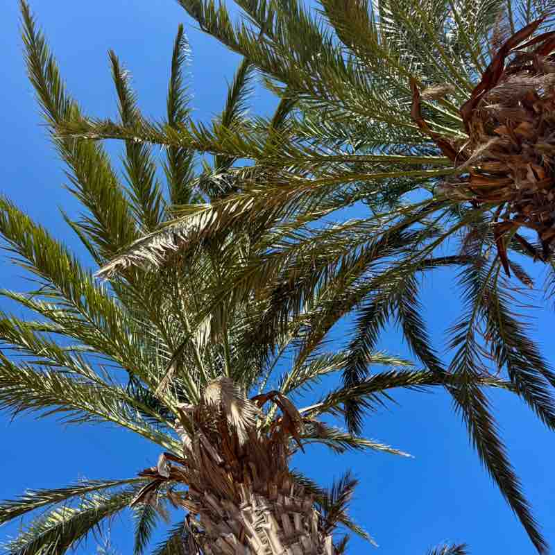 Irina 🐯 🚴🏼‍♀️🇷🇺🇩🇪 post 3