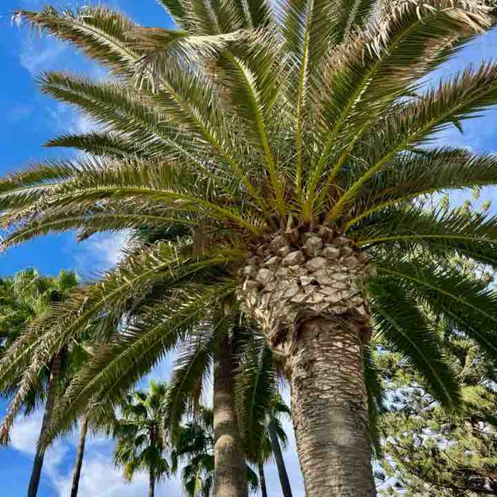 Irina 🐯 🚴🏼‍♀️🇷🇺🇩🇪 post 2