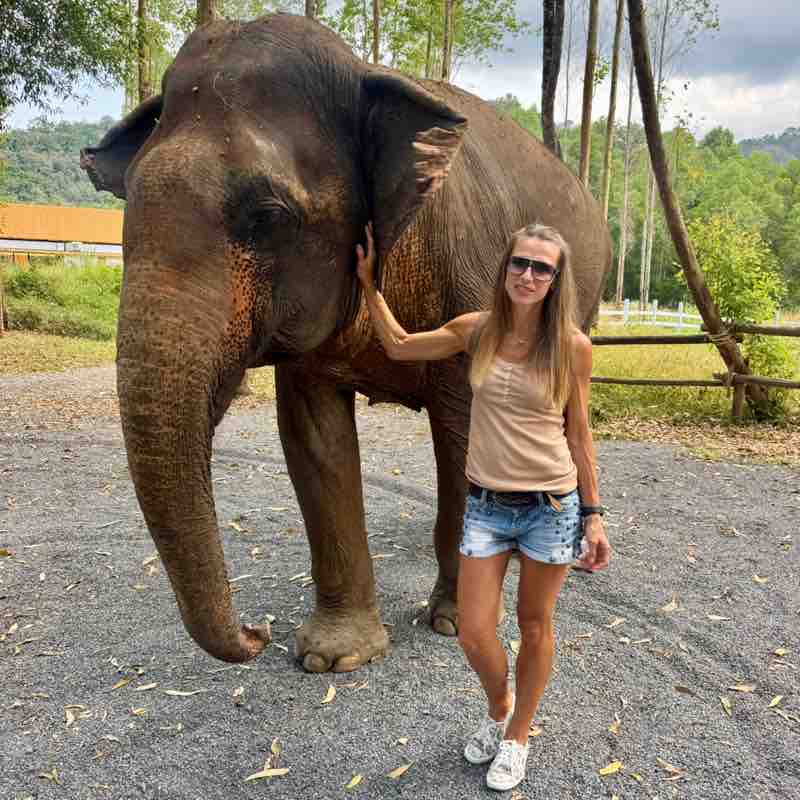 Irina 🐯 🚴🏼‍♀️🇷🇺🇩🇪 post 3