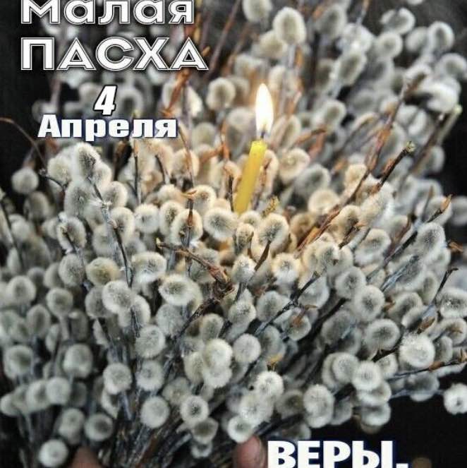 Эдуард Али 🇷🇺 post 2