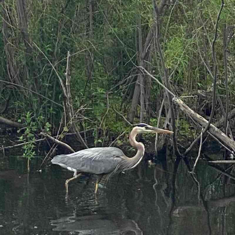 ཆོས་ཀྱི་ཉི་མ་ Dharma Surya🇨🇦🇨🇦🇨🇦 post 3