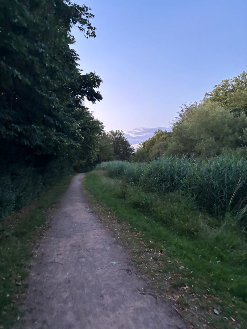 walking near me in Woolston Linear Park in summer