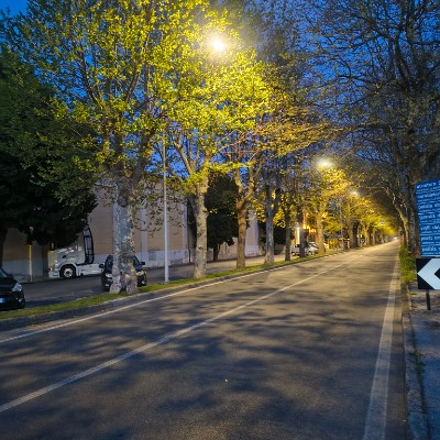 March Steps Challenge Elena post image