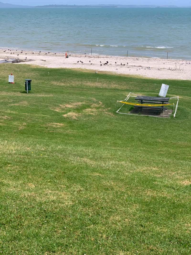 walking near me in Leigh Auton Reserve in summer