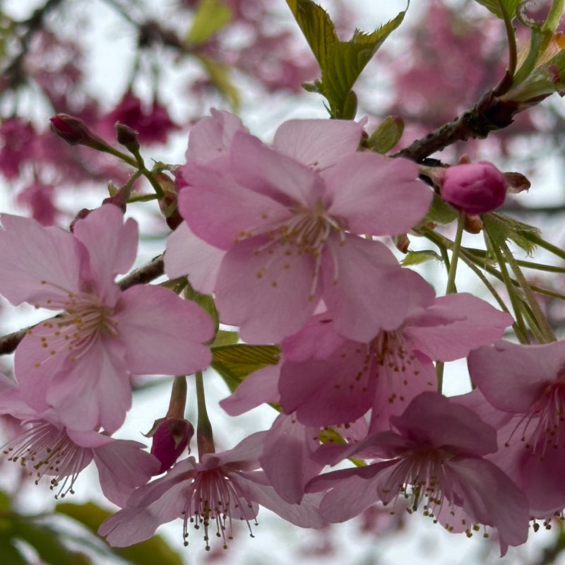 Joyce🙋🏻‍♀️🤦🏻‍♀️