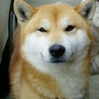 ヒデキ