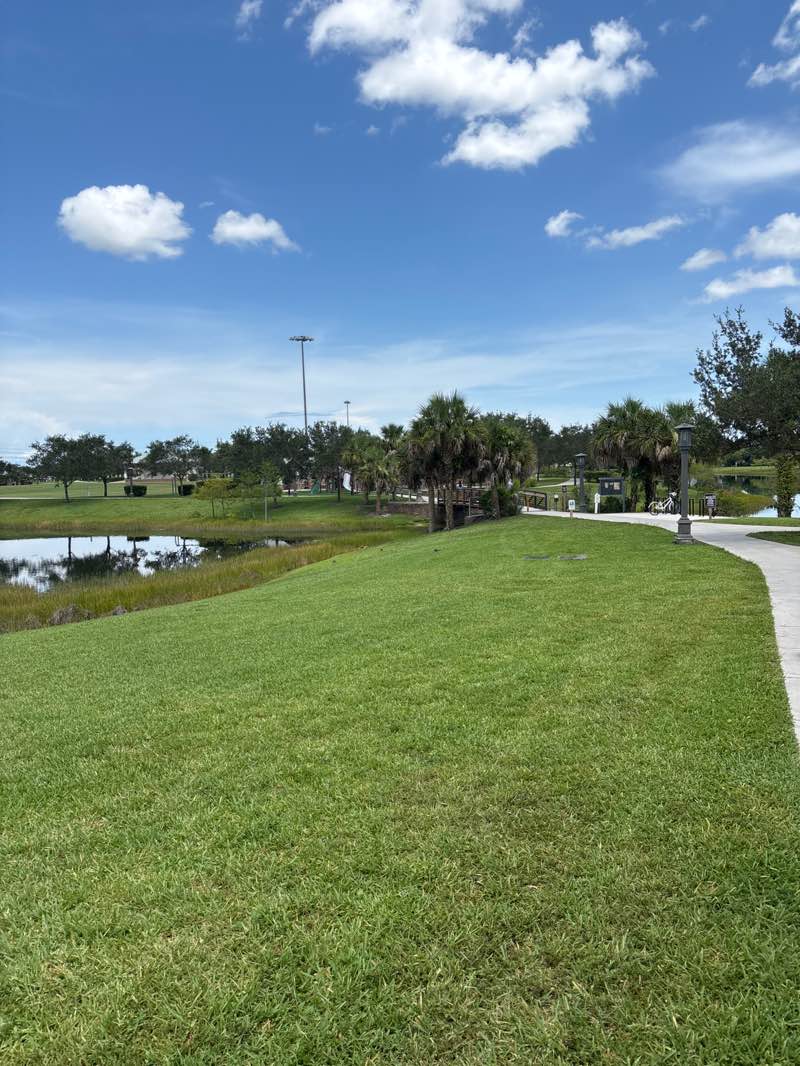 walking near me in Commons Park in summer