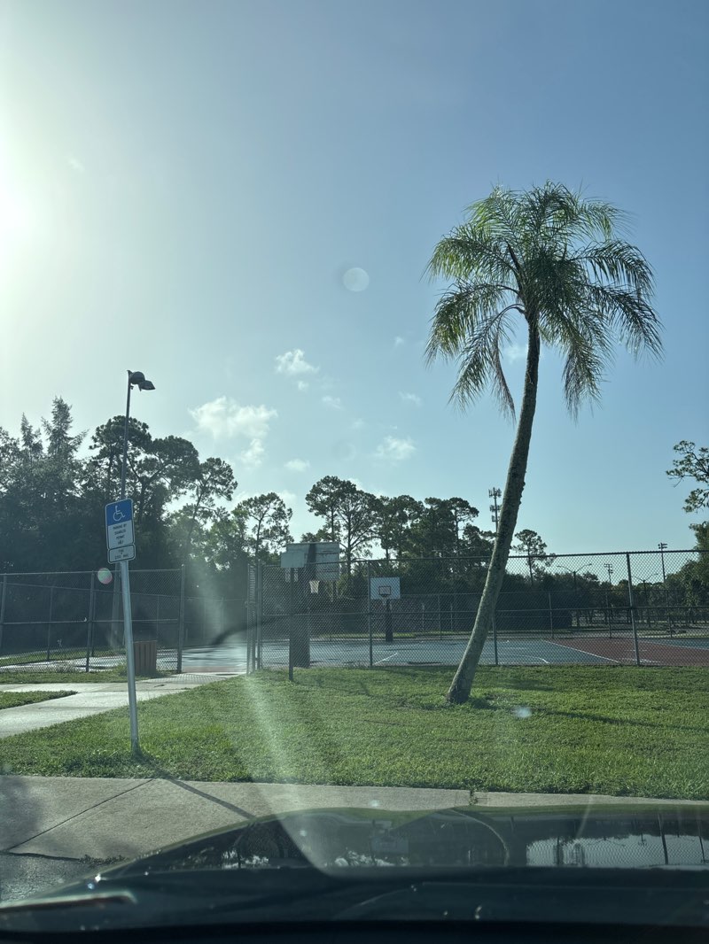 walking near me in Preservation Park in autumn