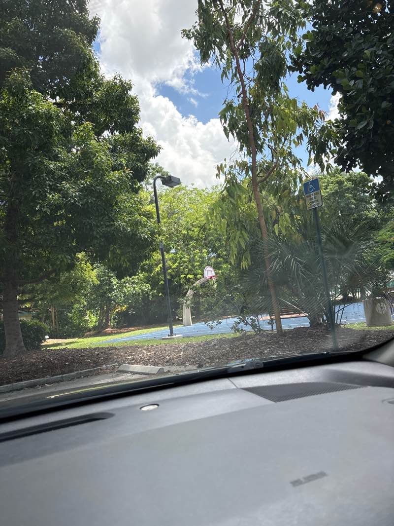 walking near me in Constitution Park in autumn