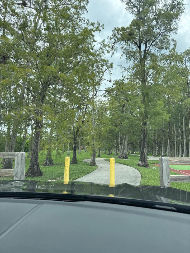 walking near me in Azure Park in autumn