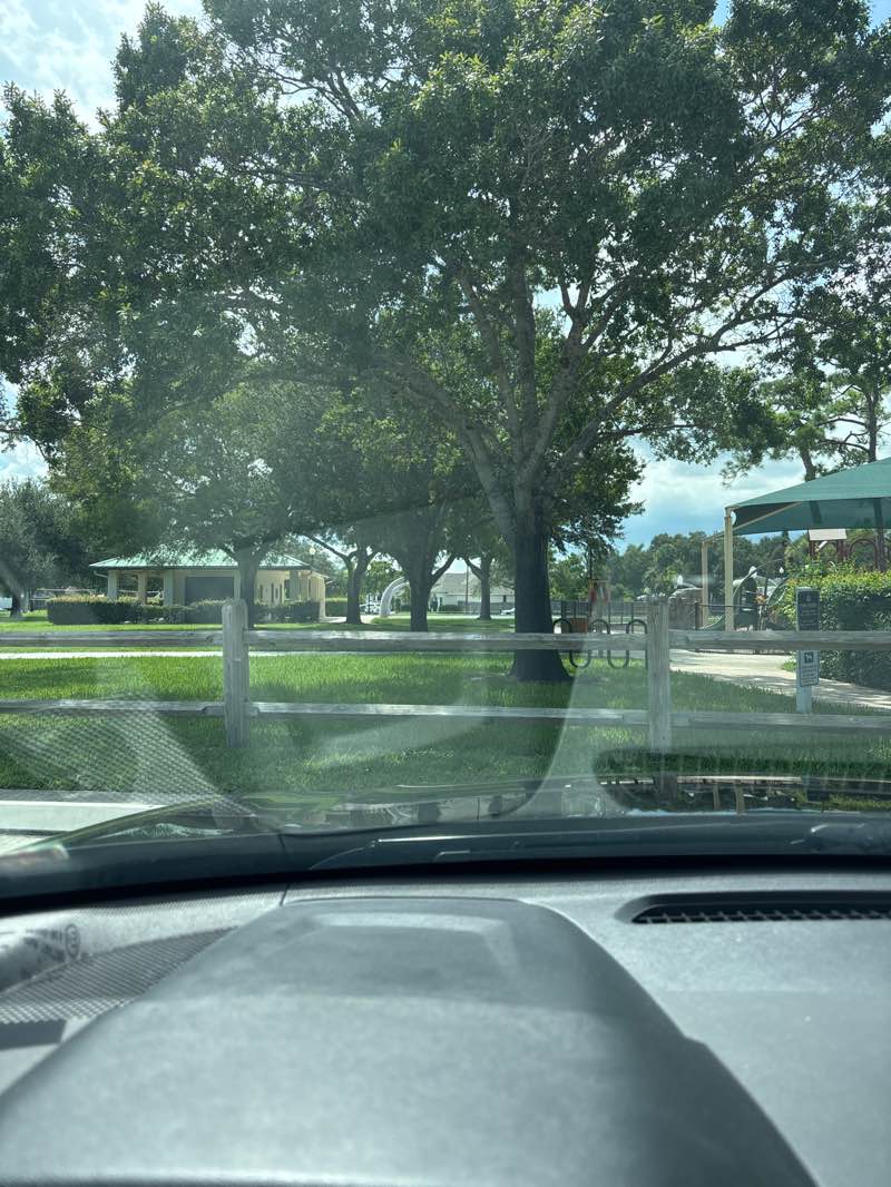 walking near me in Todd A. Robiner Park in autumn