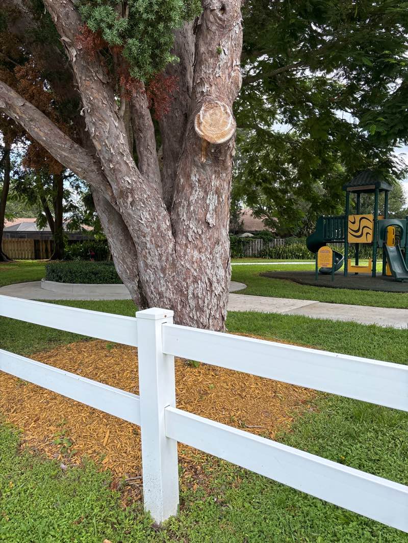 walking near me in Block Island Park in autumn