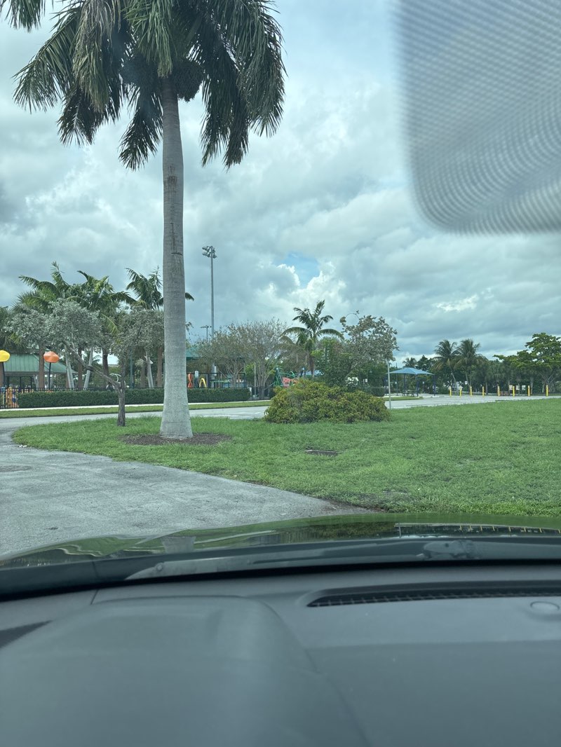 walking near me in Pioneer Park in autumn