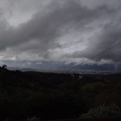 January Distance Challenge Carmen post image