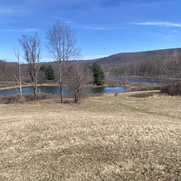 PacerGuy_1961 post 2